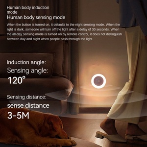 Lampe d'ambiance intelligente avec télécommande, intensité réglable, économie d'énergie, design moderne et simple, matériau acrylique, effet flamme - Product Image 3