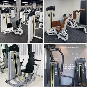 Equipo Esencial de Gimnasio, Máquina <span class=keywords><strong>Multifuncional</strong></span> 2 <span class=keywords><strong>en</strong></span> 1 para Bíceps y Tríceps, de Acero, para Entrenamiento de Fuerza, de Doble Función, para Uso Comercial - Product Image 3