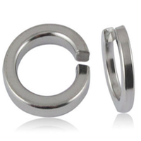Wholesale Stainless Steel Spring Washer, Passivated, High Tensile Fastener