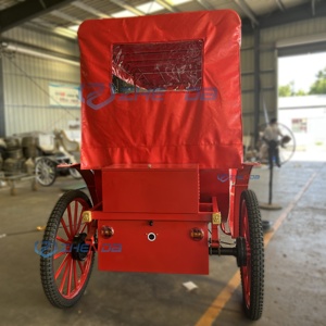 Sightseeing Carriage Victorian-style Electric Sightseeing Carriage <b>Double</b>-row Custom Multi-style Carriage Sells Well - Product Image 4