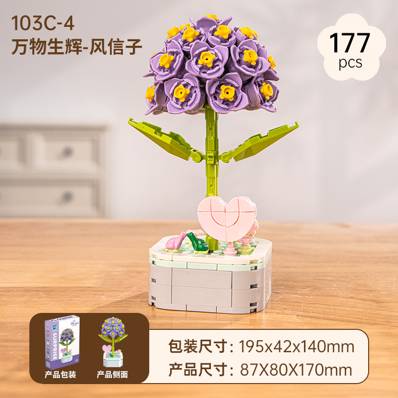 Hyacinth