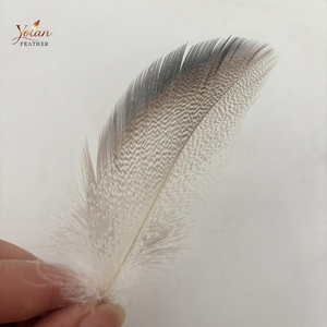 Plumas de pato bronceadas naturales de tamaño mixto al por mayor para collares, adornos de garganta y alas suaves en moscas de salmón, steelhead y spey. - Product Image 2