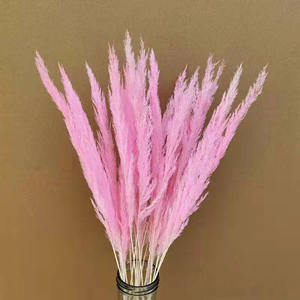 Arreglos florales para el hogar, decoración de boda, Pampas secas, hierba rugosa, hierba - Product Image 4