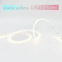 Lumière LED de type dôme, mince, pour armoire, 5*5.5mm, DC24V, mini LED néon flexible, diffuseur LED en silicone, IP65, étanche, courbe verticale, corde
