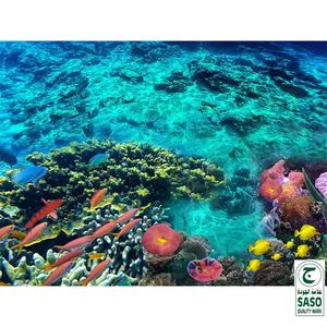 <span class=keywords><strong>Piastrelle</strong></span> 3D Antiscivolo Personalizzate per <span class=keywords><strong>Bagno</strong></span>, Decorazione ad Alta Definizione Stampata a Getto d'Inchiostro - Product Image 4