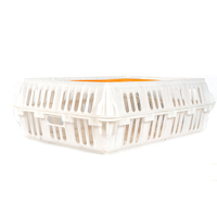 Cage à poulets empilable et durable Grande caisse en plastique pour poulet Boîte de transport pour poussins