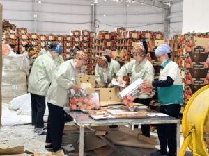 Luc ngan ลิ้นจี่ที่ผ่านการรับรองความปลอดภัยด้านอาหารการแปรรูปและรสหวานสำหรับการส่งออกระดับพรีเมี่ยม - Product Image 3