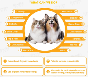 Supplément de soins de santé <span class=keywords><strong>pour</strong></span> animaux de compagnie à haute teneur en protéines <span class=keywords><strong>pour</strong></span> chien et chat Gain musculaire Multivitamine probiotique <span class=keywords><strong>pour</strong></span> oiseaux poissons acides aminés - Product Image 4