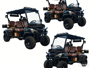 Carrito de Golf Eléctrico de 4 Plazas Económico y Popular, con Certificación CE, Batería de Litio, Alcance de 90 km - Product Image 6