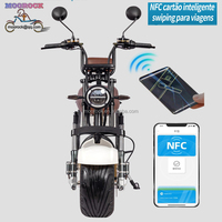 Scooters électriques pour adultes personnalisables pour la vente en gros, 1000w 48v 12ah ou 20ah, deux sièges larges, motos électriques Citycoco, marché brésilien