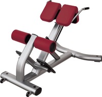 Chaise romaine réglable/banc hyperextension à dossier sécurité en acier et métal pour la musculation à domicile avec logo personnalisé