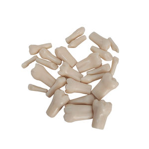 UM-U10F用直根替换牙齿的恒牙 (儿童) - Product Image 4