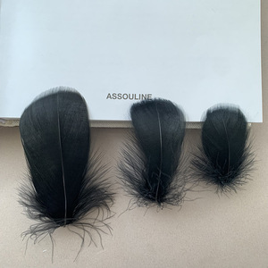 Plumes d'oie Erica 48cm 711cm 913cm Blanc Noir Artisanat Bijoux Vêtements Accessoires - Product Image 2