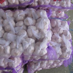 Calidad confiable 100% nuevo Material 5kg 10kg 25kg PE bolsa de malla verduras embalaje cebolla patatas ajo bolsas de embalaje - Product Image 6