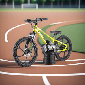 FXB Style 20eDrive Brushless Hub Moteur <span class=keywords><strong>Moto</strong></span> Électrique 36V Balance Bike - Product Image 6