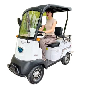 Voitures de golf miniatures à prix de gros, 2 places, faciles à utiliser pour les personnes handicapées et les personnes âgées, prix bas - Product Image 6