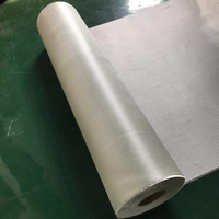Best-seller Rouleau de tissu en fibre de verre Tissu en fibre de verre pour la construction