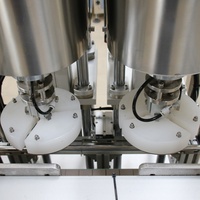 Machine de capsulage automatique à double tête linéaire servo |   Capsuleuse à vis pour bouteilles en verre et en plastique, pour aliments, cosmétiques et boissons