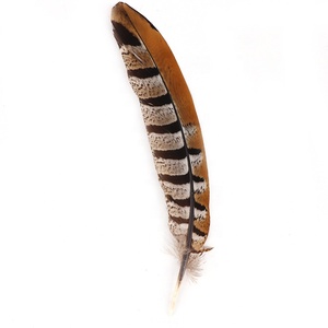 Grosir 15-20cm alami Reeves Pheasant ekor bulu hiasan kepala India pola pemasok mentah Xinyuling merek Cina - Product Image 3