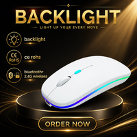 Souris de jeu sans fil OEM ultra-légère 1600 DPI avec rétroéclairage RVB rechargeable, ergonomique pour les joueurs sur PC