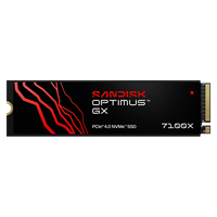 SSD SANDISK Optimus GX 7100X untuk PC 2TB - 4TB