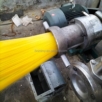Machine à nouilles automatique multifonctionnelle en acier inoxydable 304, extrudeuse commerciale haute capacité pour spaghetti et vermicelles de riz