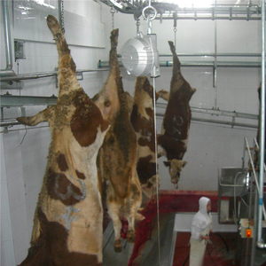 Équipement d'abattoir rituel pour la transformation de la viande bovine, découpe, abattage, <span class=keywords><strong>boucherie</strong></span> - Product Image 2