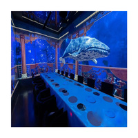 Panel de Video Flexible LED Space Time Tunnel P2.5 con HDR10+ a Todo Color 1080P para Publicidad Inmersiva en Interiores