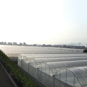 Vente en gros de serres agricoles multi-spans pour la culture de légumes à domicile, structure en acier, abri en plastique, serre verte - Product Image 5