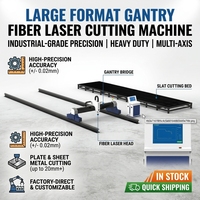Machine de découpe laser à fibre CNC à portique 6000W 12000W pour l'acier inoxydable, l'acier au carbone et les tôles métalliques
