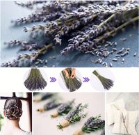 100% Bunga Lavender Kering Alami dalam Bundel, Rangkaian Bunga, Sachet, Tangkai, Buket untuk Dekorasi Rumah, Hadiah Hari Valentine