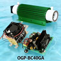 30G Koronaentladungs-Ozongenerator-Röhre, SPS-gesteuerter Ozon-Wasserreiniger für Wasseraufbereitungsanlagen