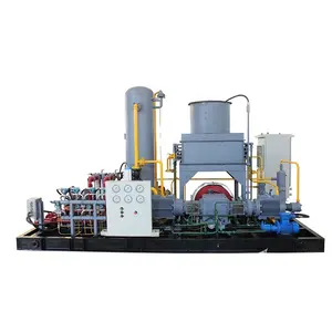 Golden Supplier High Automation Atmospheric Inlet Pressure Discharge 30Bar Flow 10.5Nm3/min CNG Natural Gas Piston Compressor