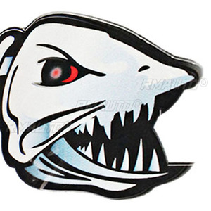 2 uds./4 Uds. Esqueleto huesos de pescado R & L calcomanías de vinilo pegatinas Kayak pesca barco coche gráficos vehículo accesorios de coche piezas - Product Image 4
