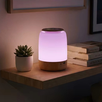 Lampe de table décorative au design unique de frein à main de voiture, petite veilleuse LED portable alimentée par batterie pour la décoration