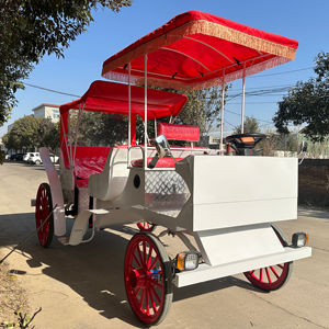 Carruaje Real Clásico de Lujo Blanco Personalizado con Aire Acondicionado/Carruaje Eléctrico Europeo para Turismo - Product Image 1