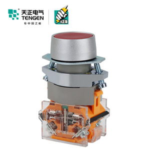 Tengen TGLA39 <b>Push</b> <b>Button</b> <b>Switch</b> Silver Dot Self-resetting Start Stop IP40 - Product Image 1