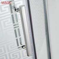 Cabine de douche coulissante MAGIC C15 à une ligne, cloison en verre enduit, acier inoxydable 304, design européen, séparation sec/humide pour salle de bain