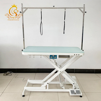 EUR Offre Spéciale pour animaux de compagnie équipement vétérinaire Table de toilettage électrique réglable en hauteur pour chiens éclairage LED Salon pour chiens