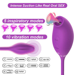 Vibromasseur rose Jouets à sucer clitoridien avec godemichet vibrant Clit Sucker 2 en 1 Stimulateur de points G Sex Toys pour femmes Couples - Product Image 5