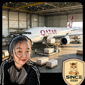 Service d'expédition aérienne de la Chine vers l'aéroport de Doha via Guangzhou avec livraison porte-à-porte, tarifs compétitifs et DDP - Product Image 6