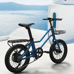 Hoya e bike 20 inch spoken wheel electric bike unique style fashion city electric bicycle blue double tube city E-bike