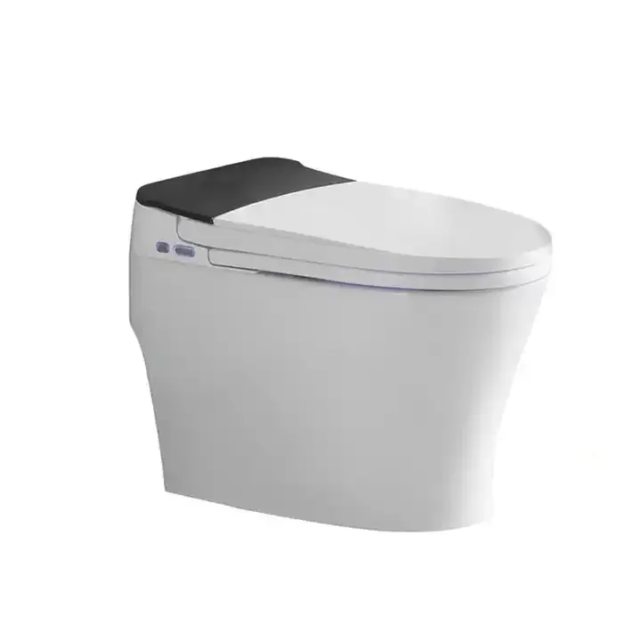 Bathroom Intelligent Smart Sensor Electric Smart Toilet Automatic Flush Wc Bidet Smart Toilet