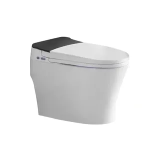 浴室智能智能传感器电动智能马桶自动冲水马桶坐浴盆智能马桶