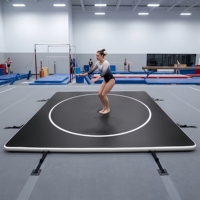 Tapis d'entraînement carré en PVC pour arts martiaux - Tapis de lutte et de grappling avec cible circulaire blanche, portable et robuste pour MMA, boxe, salle de sport