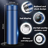 Bouteille isotherme intelligente 500 ml avec affichage LED de température, en acier inoxydable, avec filtre infuseur
