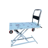 Plateforme élévatrice à ciseaux électro-hydraulique SAGA FIRST 500 kg en acier inoxydable 1700x850 mm, capacité 2 personnes, chariot de levage de table