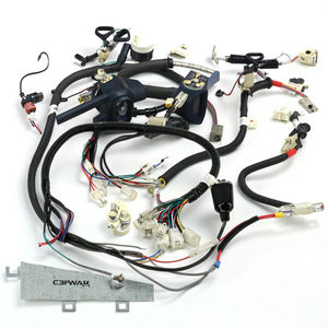 カスタムEmtron FuelTech Haltech Motec配線ハーネススワップ新しいPVC断熱PVC強化自動車性能 - Product Image 4