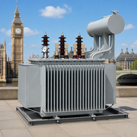 Transformateur de puissance immergé dans l'huile triphasé S20 500 kVA à trois enroulements 50 Hz 60 Hz pour distribution et usage agricole