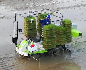 Машина для посадки риса с автоматическим управлением 2ZPY-13D сельскохозяйственные ряды для пересадки риса опционально - Product Image 2